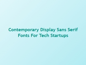 Contemporary Display Sans Serifs for Tech Startups
