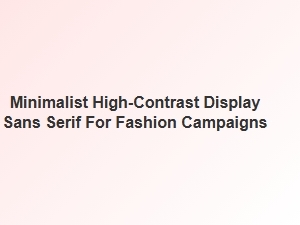 Minimalist High-Contrast Display Sans for Fashion